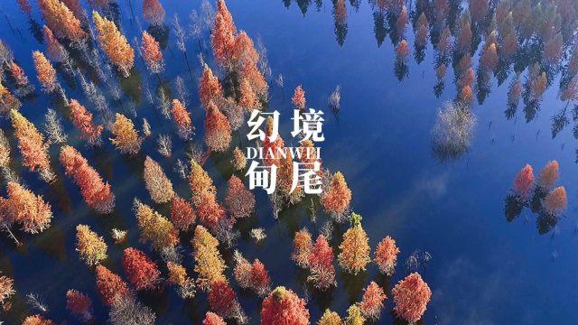 勇者斗恶龙3D