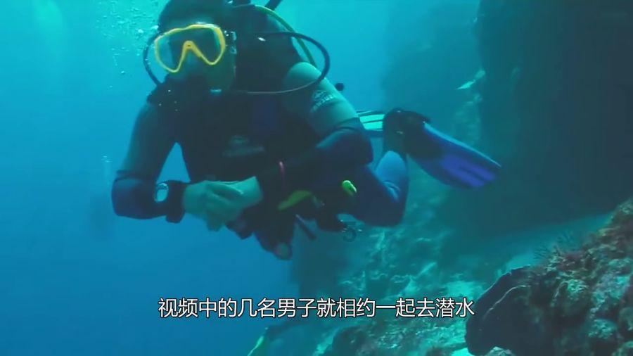 观察者